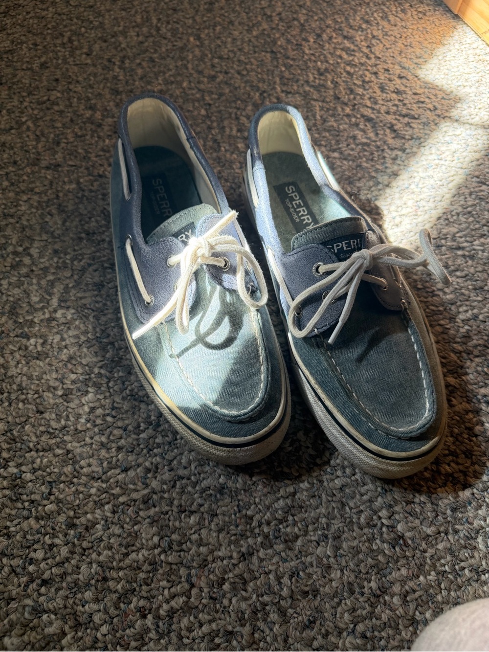 Sperry Men's Navy Canvas Boat Shoes with White Laces